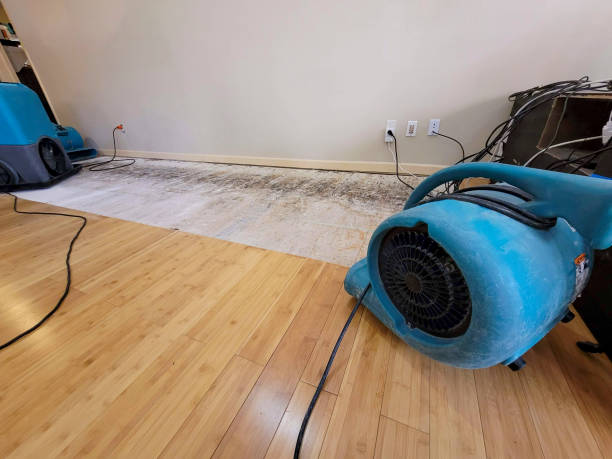 Professional Flood Damage Cleanup technician working in Nova, OH